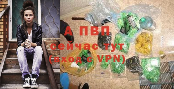 соль ск Алексин