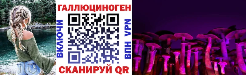 купить наркотики сайты  Лесосибирск  Псилоцибиновые грибы мицелий 