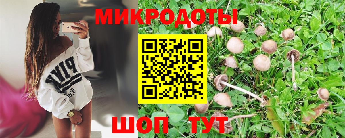 Псилоцибиновые грибы мицелий Лесосибирск