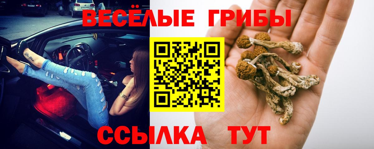 Лесосибирск  Галлюциногенные грибы Psilocybe  Вход с VPN 